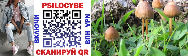 Купить где  Верхняя Тура  Галлюциногенные грибы мицелий 